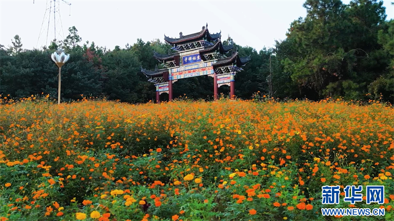 江苏溧阳：一路繁花 邂逅秋日限定浪漫