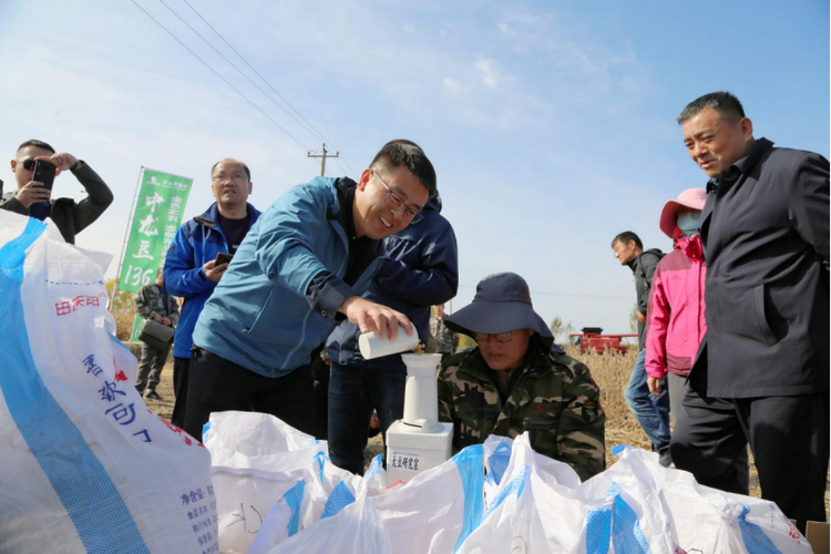 黑龙江：当年改良见成效 盐碱地喜获丰收