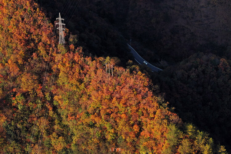 重庆城口：彩叶斑斓 美景醉人