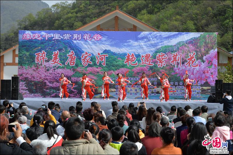 四川青川唐家河紫荆花现已绽放并开启赏花模式