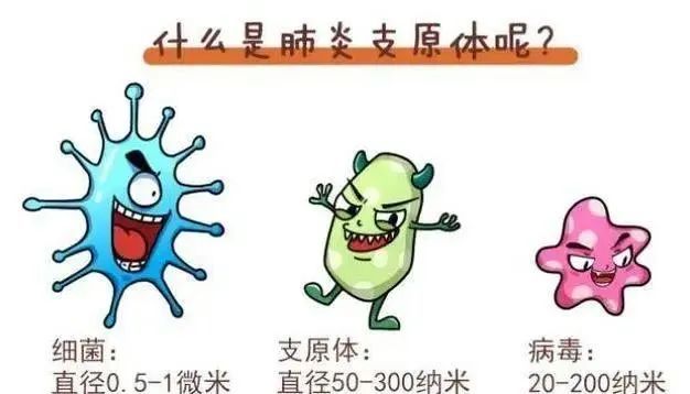 上热搜的“支原体肺炎”，究竟是啥？