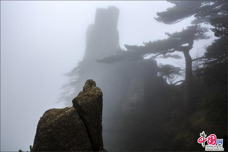 漫步黄山西海峡谷 观石峰赏翠松身在云中漾