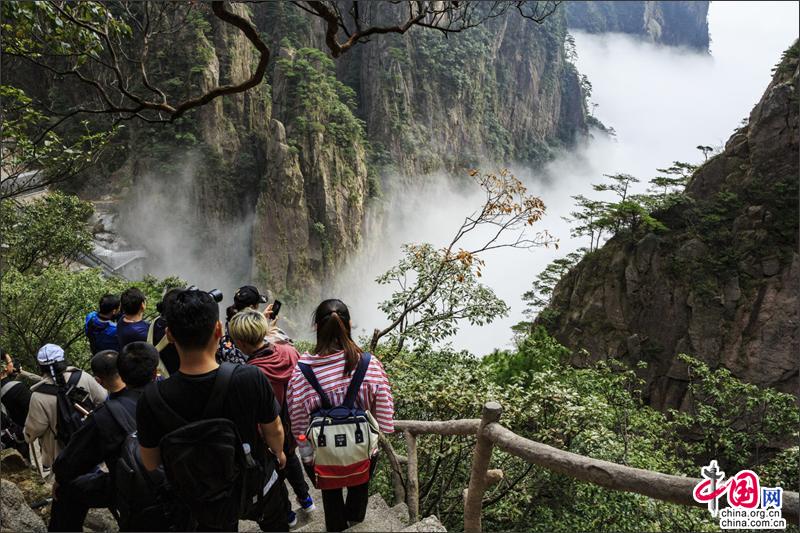 漫步黄山西海峡谷 观石峰赏翠松身在云中漾