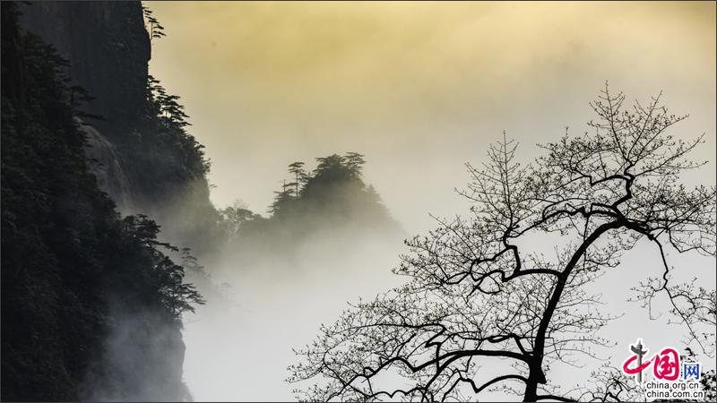 漫步黄山西海峡谷 观石峰赏翠松身在云中漾