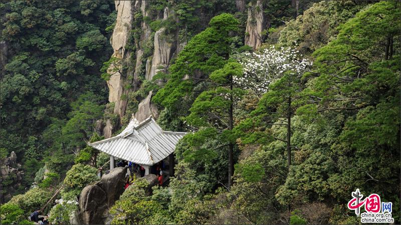 漫步黄山西海峡谷 观石峰赏翠松身在云中漾