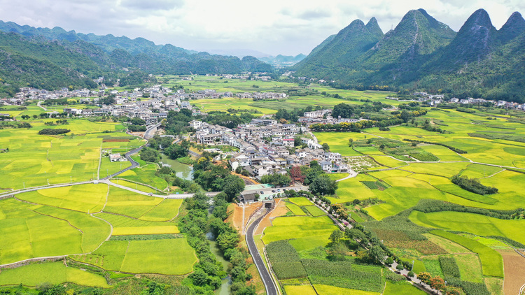 丰富旅游业态 提升服务能力｜贵州省围绕山地特色打造世界级旅游目的地