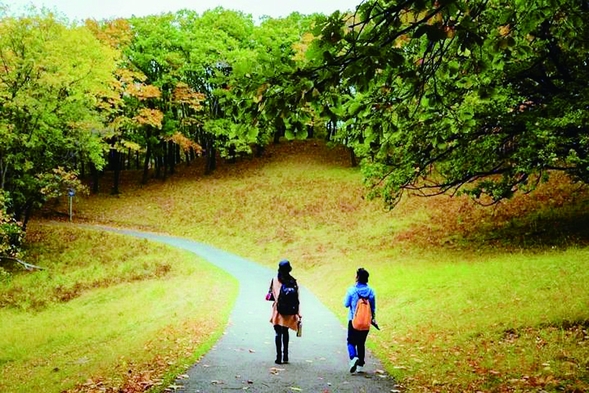 碧云天黄叶地枫树红 今年秋霜晚染五花山色刚浓