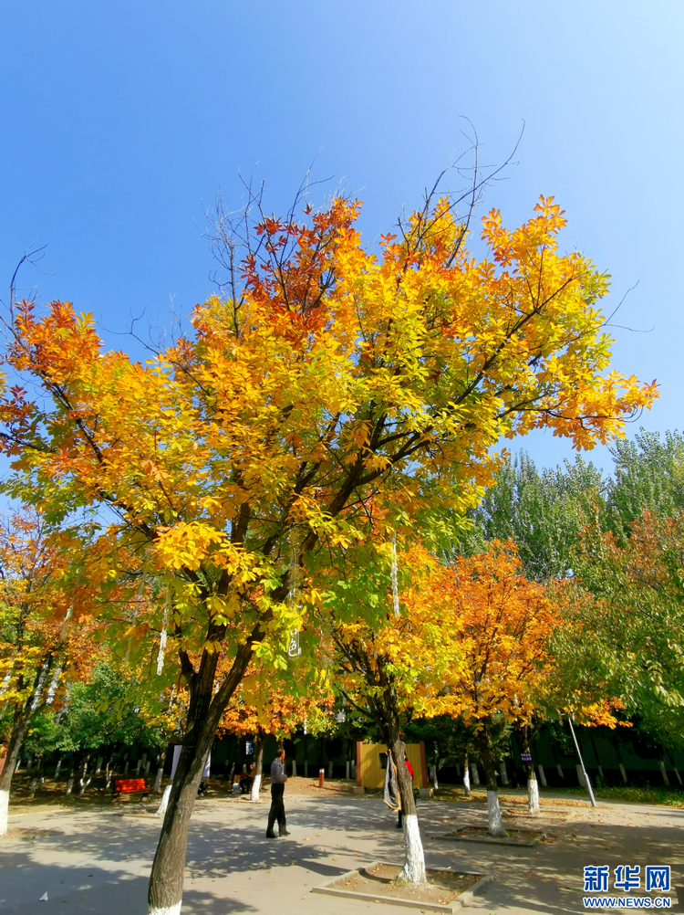 长春：多彩秋景美如画