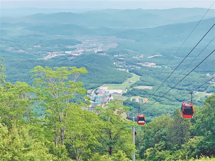 康养旅游未来看好 龙江这样打造新样板