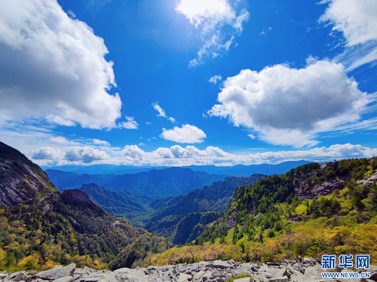 秦岭朱雀景 漫山秋色层林尽染