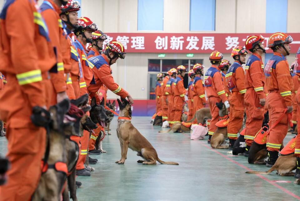 第七届全国消防搜救犬技术比武竞赛在济南举行