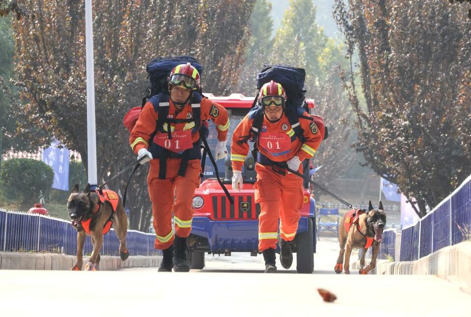 第七届全国消防搜救犬技术比武竞赛在济南举行