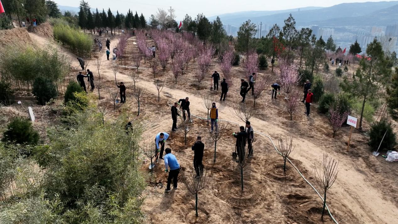 天水秦州：厚植生态本底 建设美丽秦州_fororder_图片5