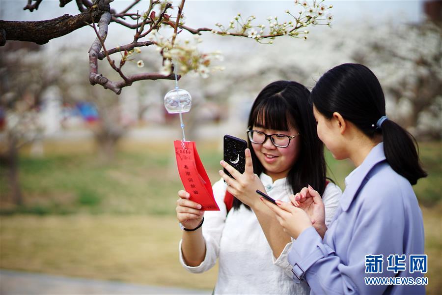 南开大学举办梨园春会