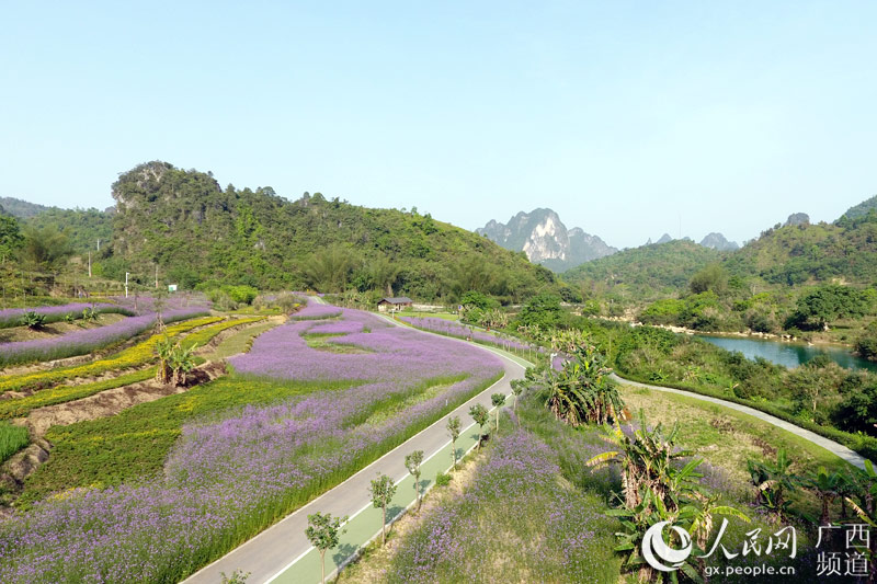 图片默认标题_fororder_图为风景优美的花海一景