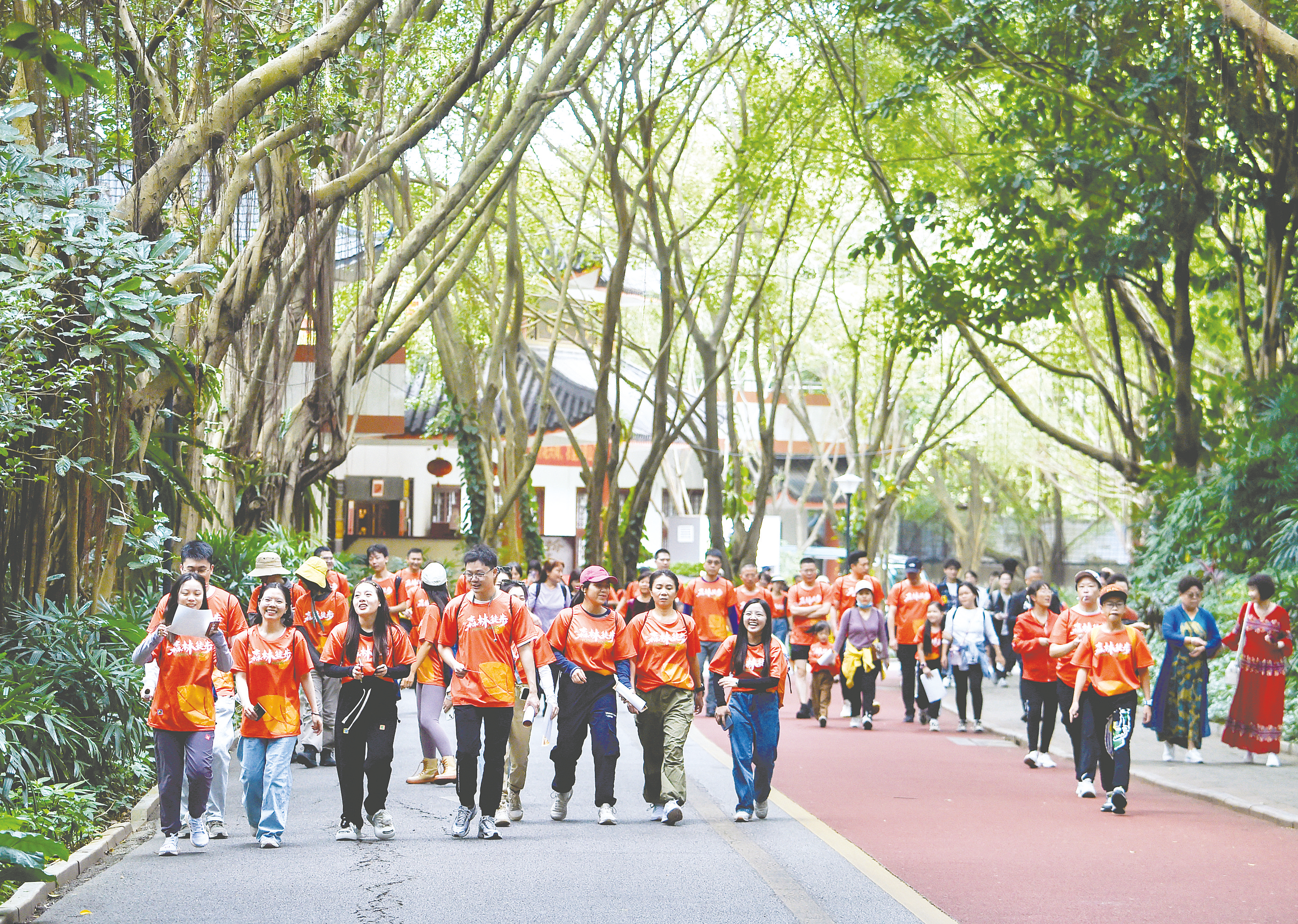 踏遍青山人未老 徒步登高愿美好 南宁青秀山风景区举办重阳登高节