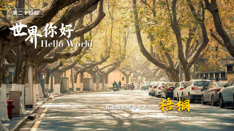 Hello World! This is Wutong Tree, Emblem of Nanjing!_fororder_1