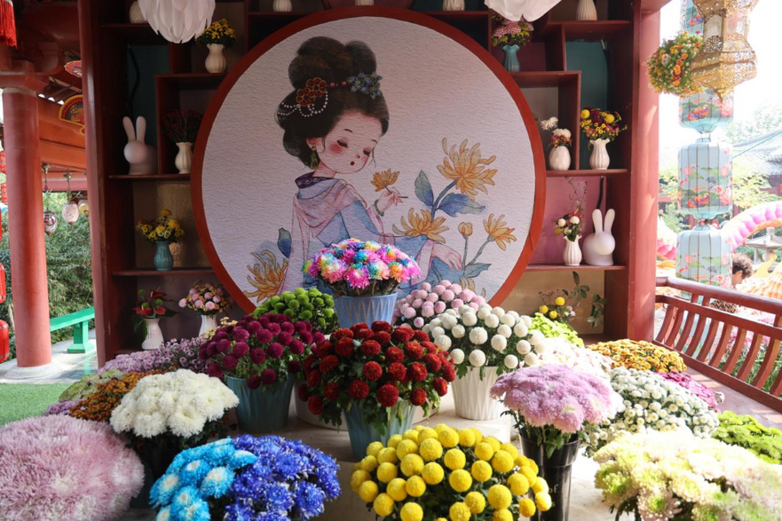 Millions of High-quality Chrysanthemums Stunningly Appear at Millennium City Park in Kaifeng, China_fororder_12