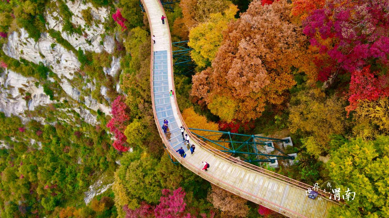 산시 웨이난, 가을 분위기로 한껏 물든 첩첩산중_fororder_图片4