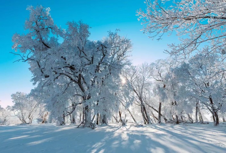 在四方顶邂逅“冰雪奇缘”