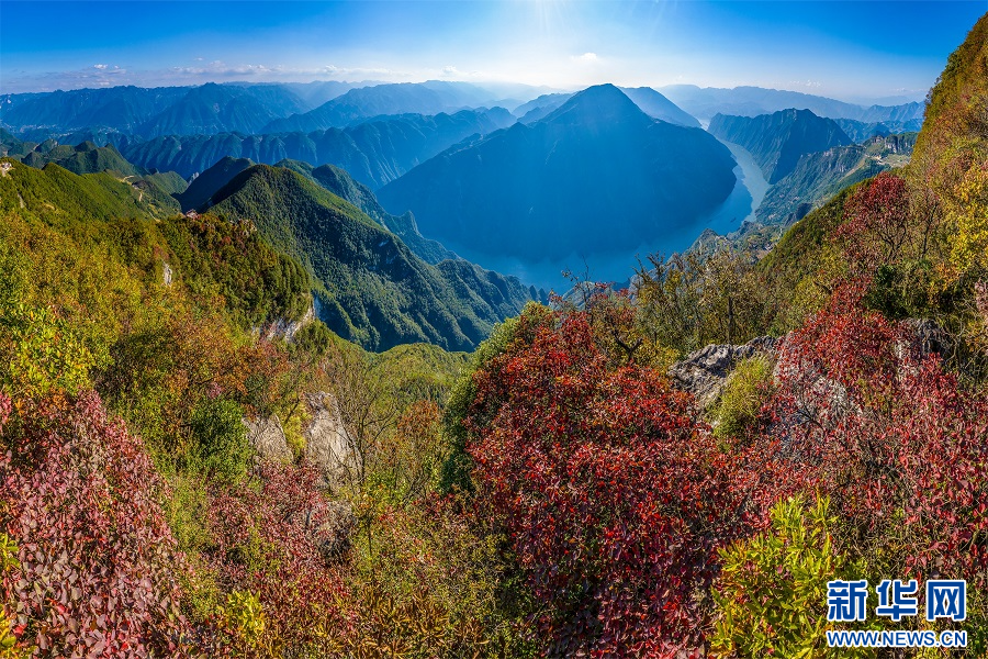 重庆巫山：云生峡江 秋叶渐红