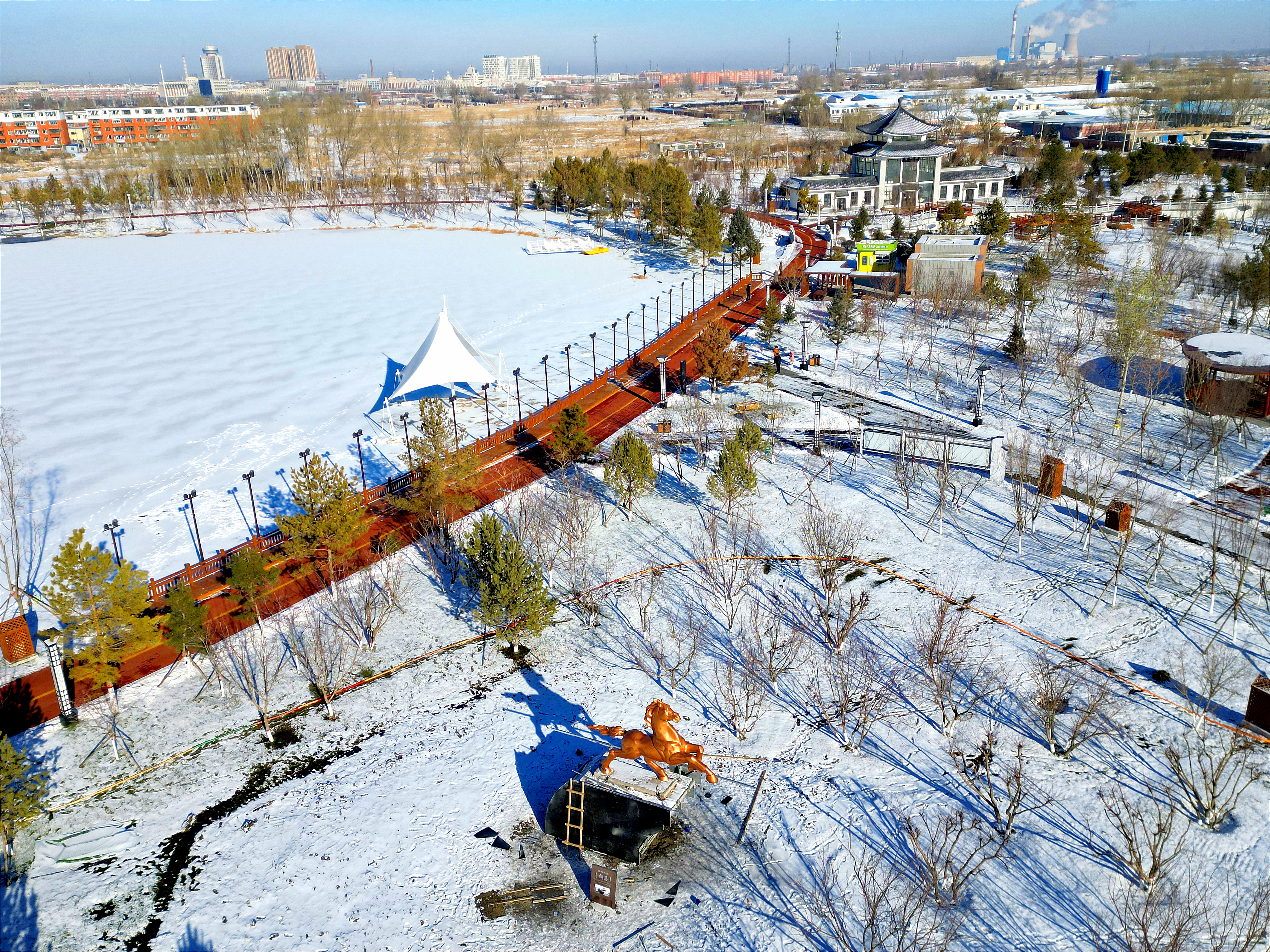 雪后初晴，白城春华园绽放出白色浪漫