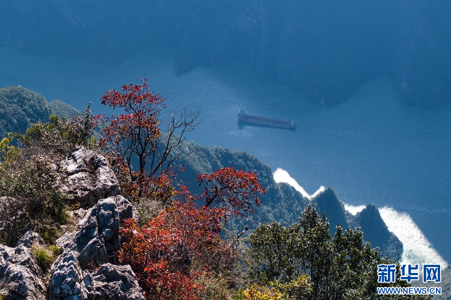 重庆巫山：云生峡江 秋叶渐红