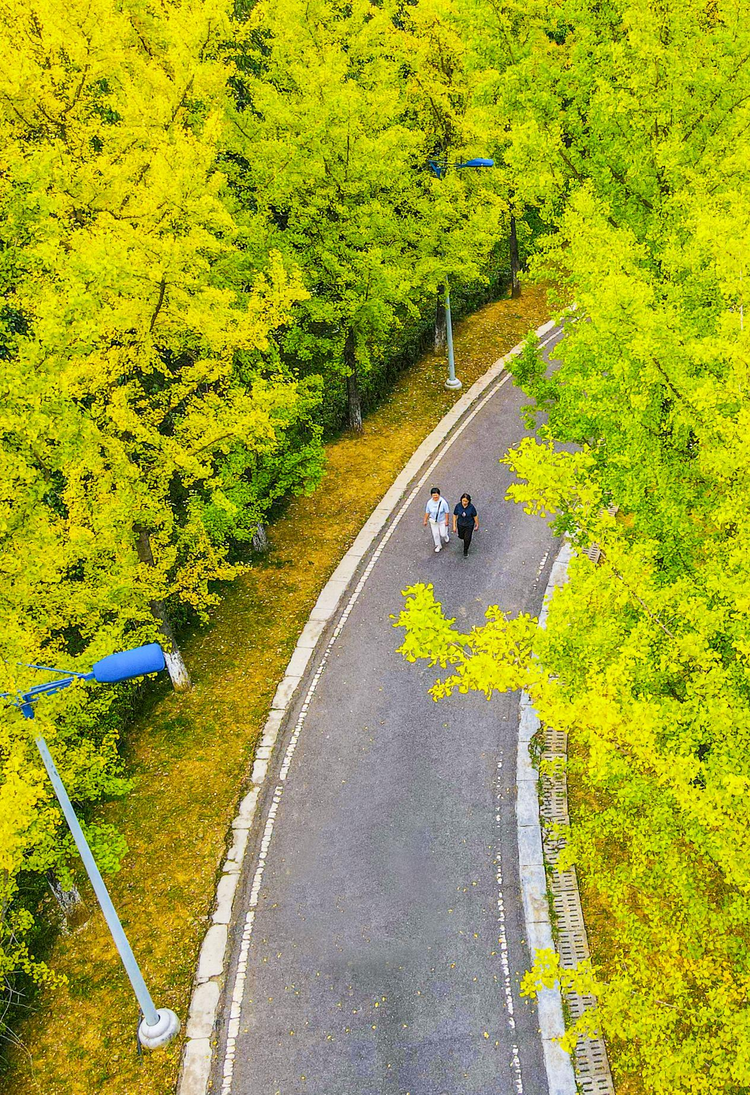 秋游观山湖公园 赏景旅拍两不误