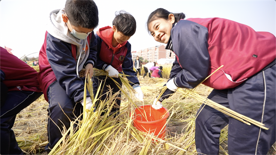 （待核实）稻浪飘香同庆丰收 沈阳市于洪区举办融合型学校首届亲子丰收节_fororder_于洪活动2