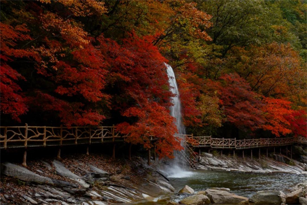 （文旅专题）大连天门山赏秋 “枫”火连天_fororder_文旅天门山7