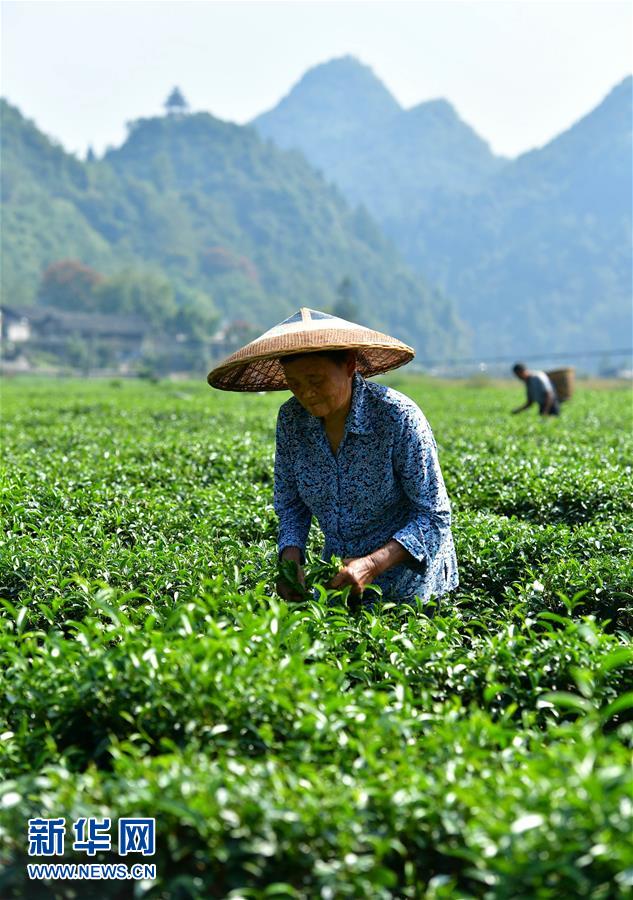 图片默认标题