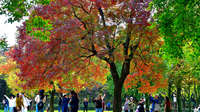 Picturesque Luoyang in Late Autumn