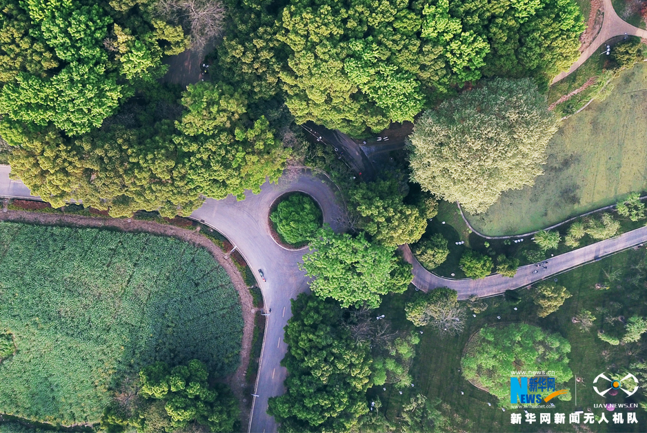 【大美荆楚  倒数第二张做焦点图】东湖听涛景区湖光秀美碧波荡漾