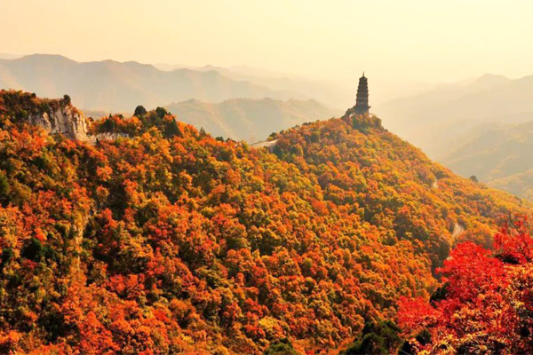 长治市仙堂山：红叶满山惹人“醉”