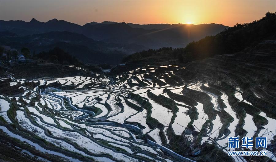 【大美荆楚  焦点图】湖北蕲春：雾云山梯田晨光