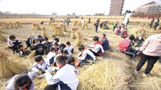 （待核实）稻浪飘香同庆丰收 沈阳市于洪区举办融合型学校首届亲子丰收节_fororder_于洪活动1