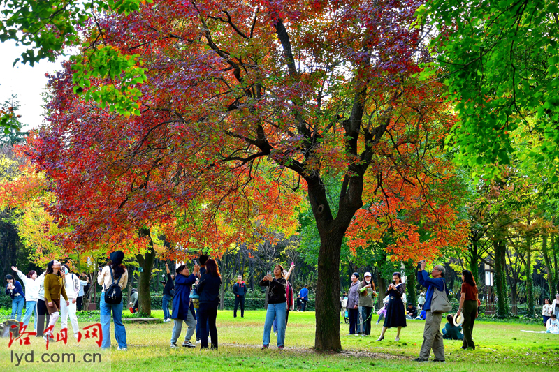 Picturesque Luoyang in Late Autumn_fororder_图片2