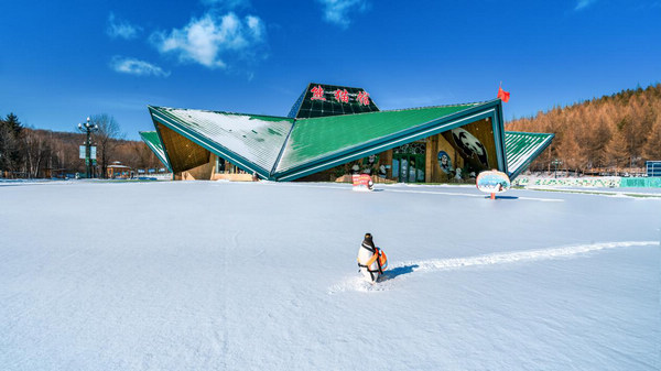 黑龙江各大滑雪场“开板”迎客 亚布力滑雪场已接待游客6.3万人次