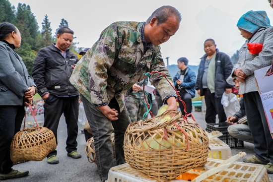 贵州天柱：变“输血”为“造血” 送禽苗促增收_fororder_群众领取鹅苗 (2).JPG