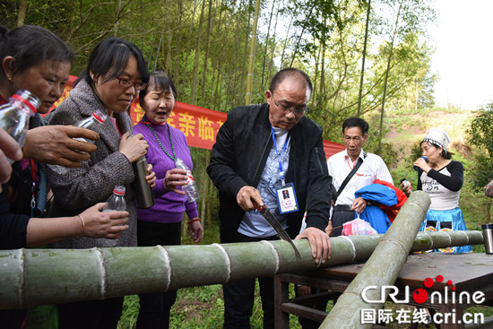 【区县联动】【石柱】重庆石柱：游客进山砍竹品酒领悟土家风情【区县联动　列表】石柱：游客进山砍竹品酒领悟土家风情