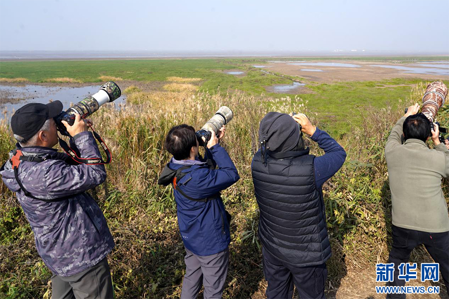 武汉园林和林业系统观鸟比赛观测到116种野生鸟类