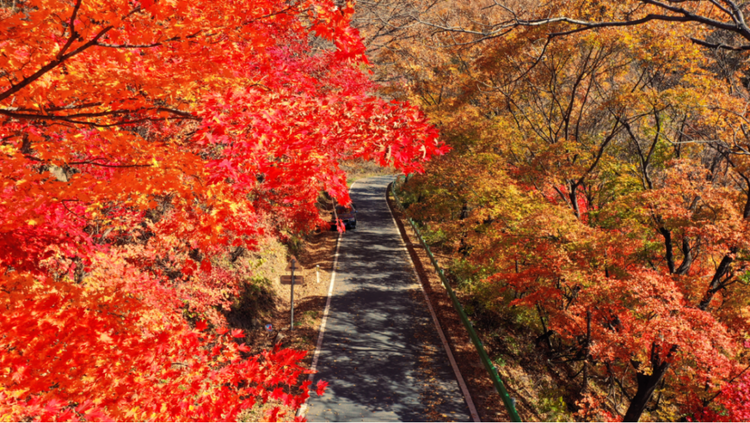 吉林这条最美乡村公路，山水人文画中行