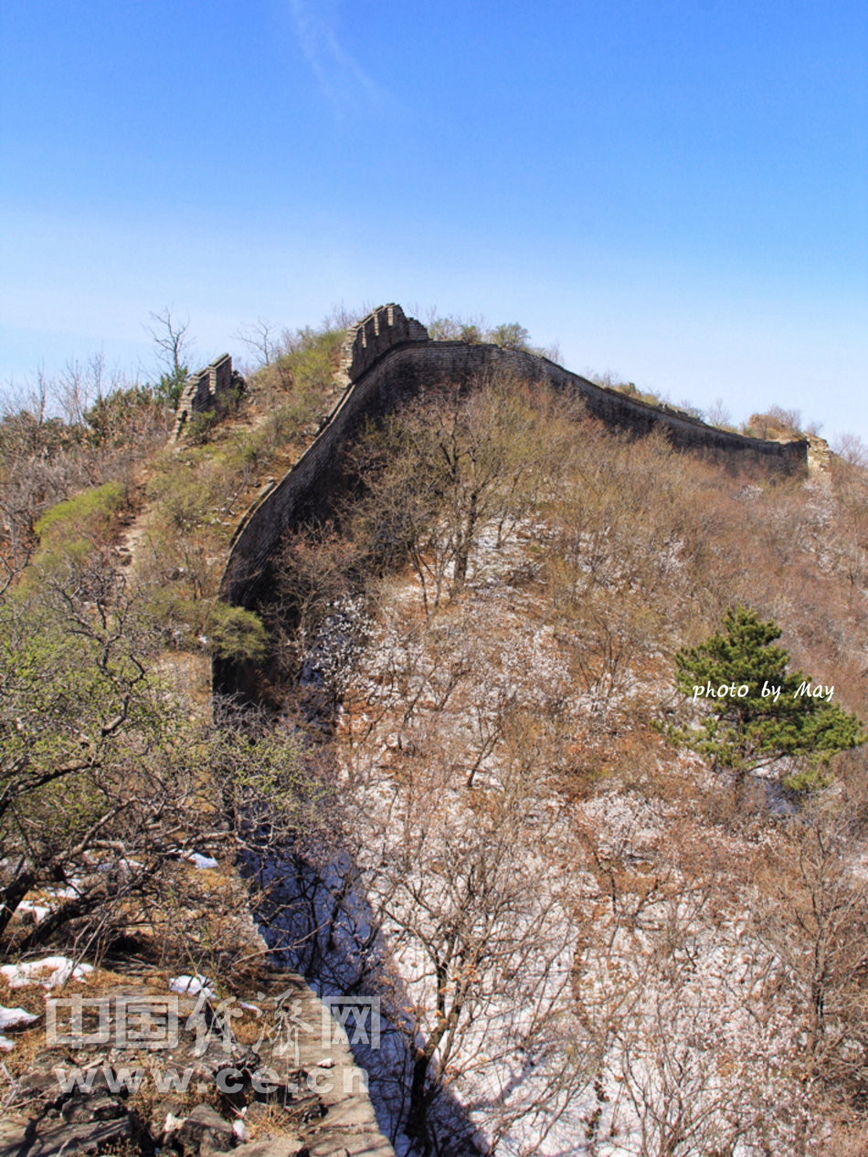 山花烂漫时 踏青京郊怀柔撞道口长城