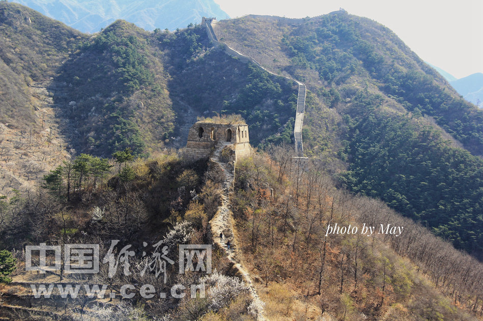 山花烂漫时 踏青京郊怀柔撞道口长城