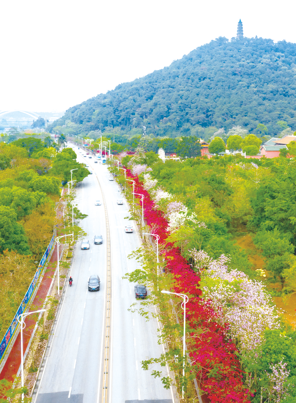 南宁：繁花相伴青环路 自然人文相辉映