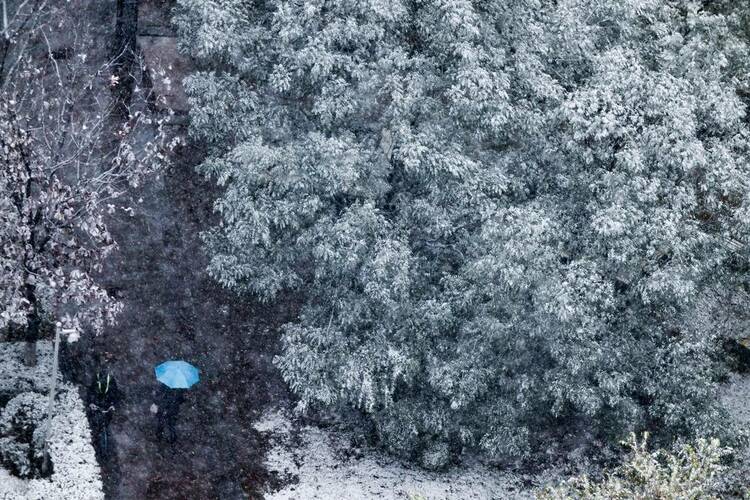 沈阳初雪图