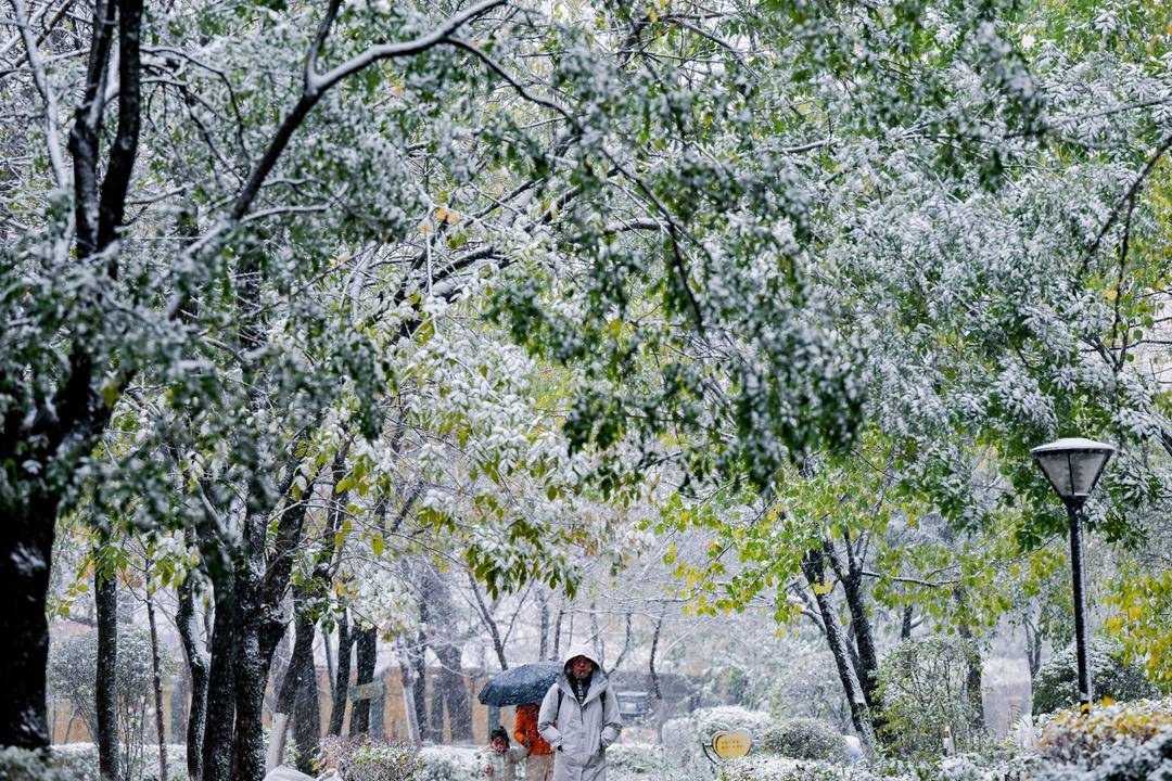 沈阳初雪图