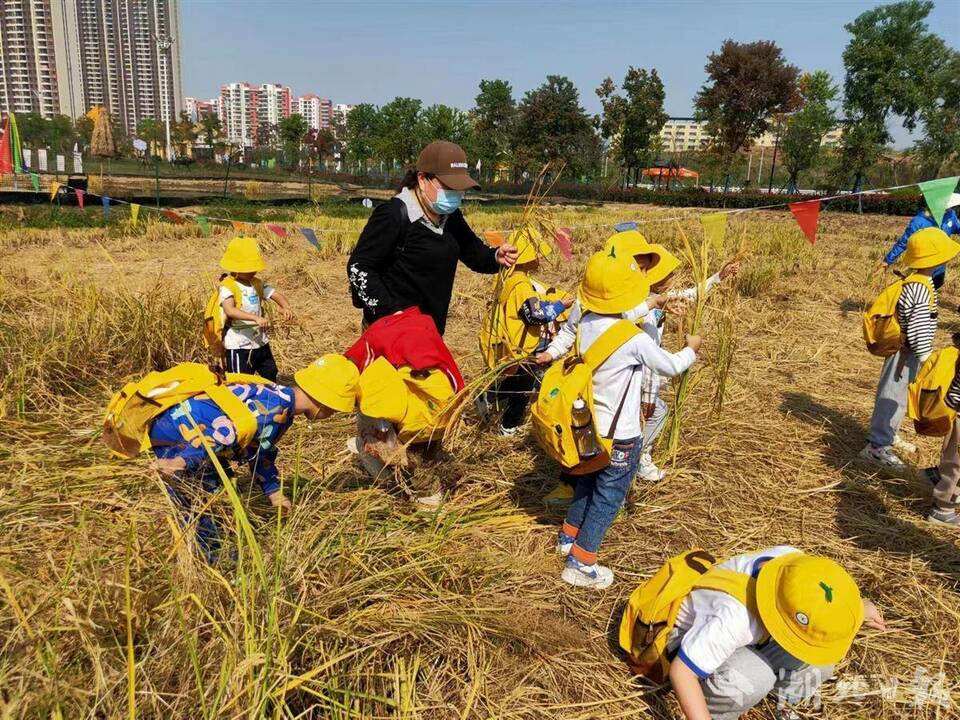 湖北：秋日旅游正当时 特色景区民宿被“带火”