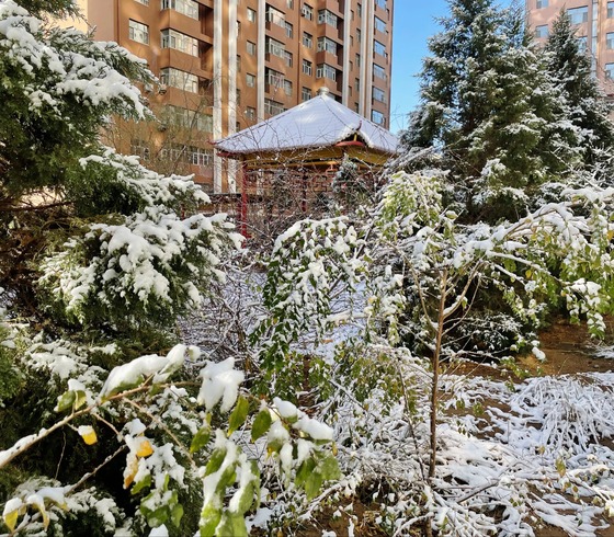 初雪•海勃湾