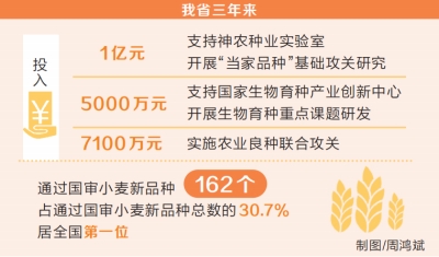 河南勇攀种业新高峰